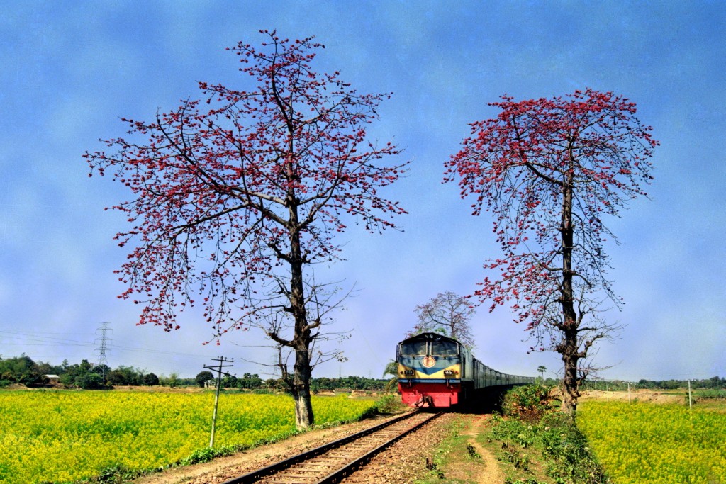 My Photo & Videography